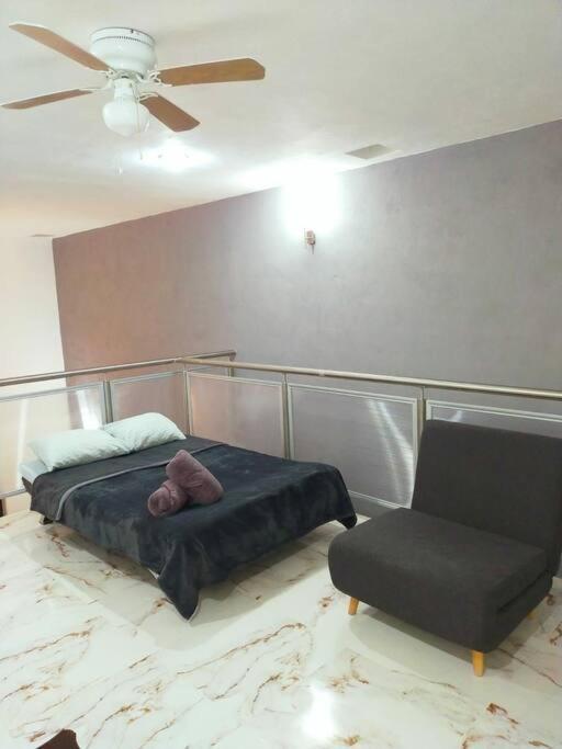 Loft Soliman - Netflix - Hbo - Near Market 28 - Downtown كانكون المظهر الخارجي الصورة